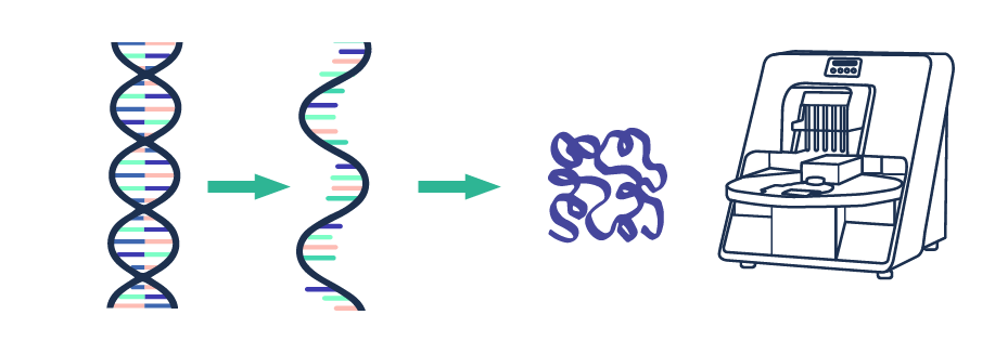 Expression and Purification - Synthetic Biology